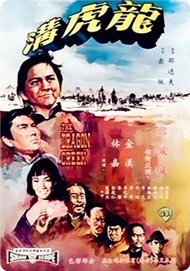 《夫妇联欢回不去的夜晚》海报